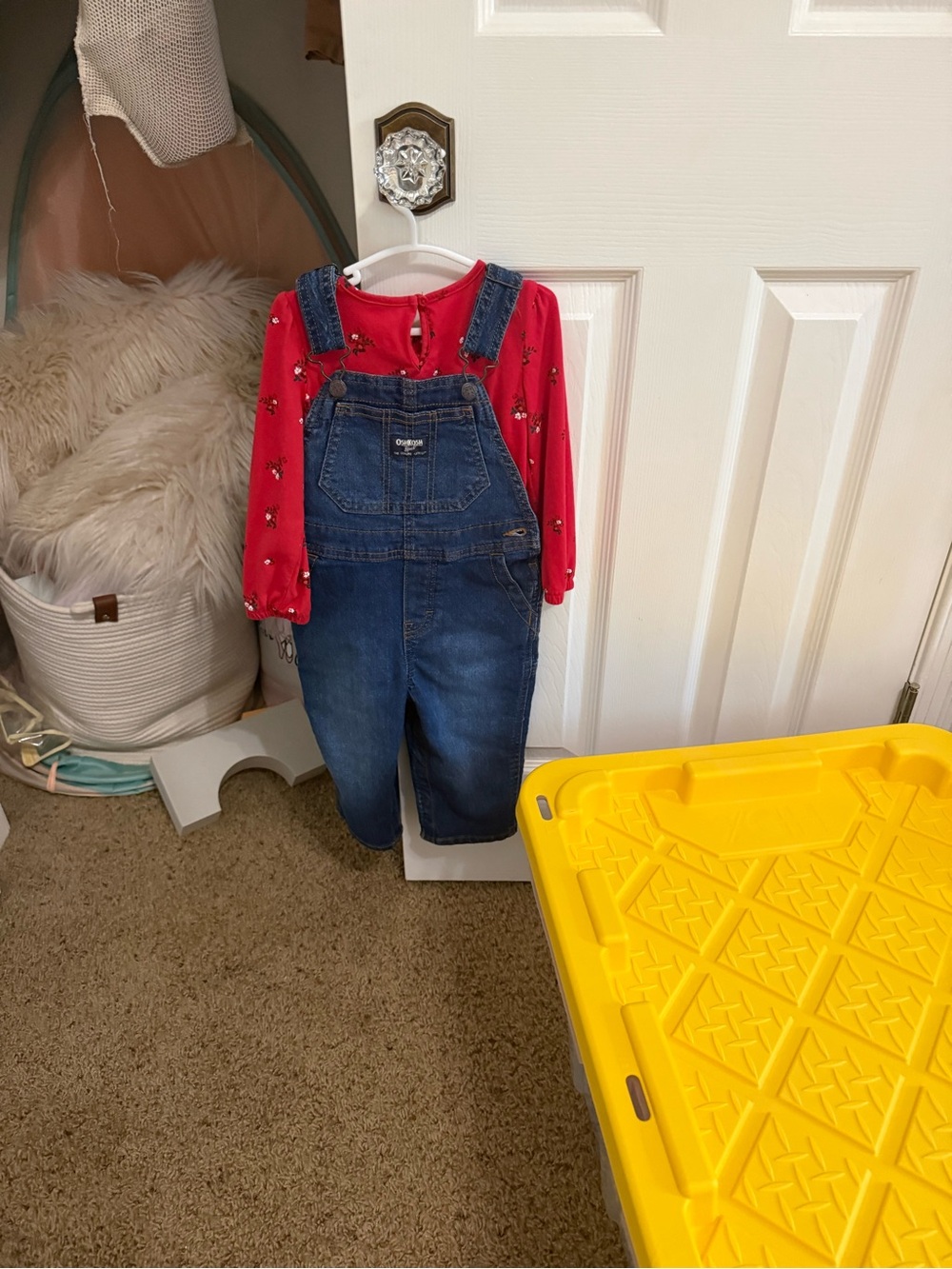 OshKosh B'gosh Red Floral Shirt with Denim Overalls